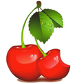 Ремонт цифровой техники - "Cherry-Service-Center"