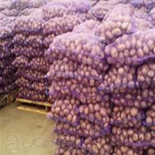 Продаётся картофель +5 от 10 тонн. Урожай 2017г.