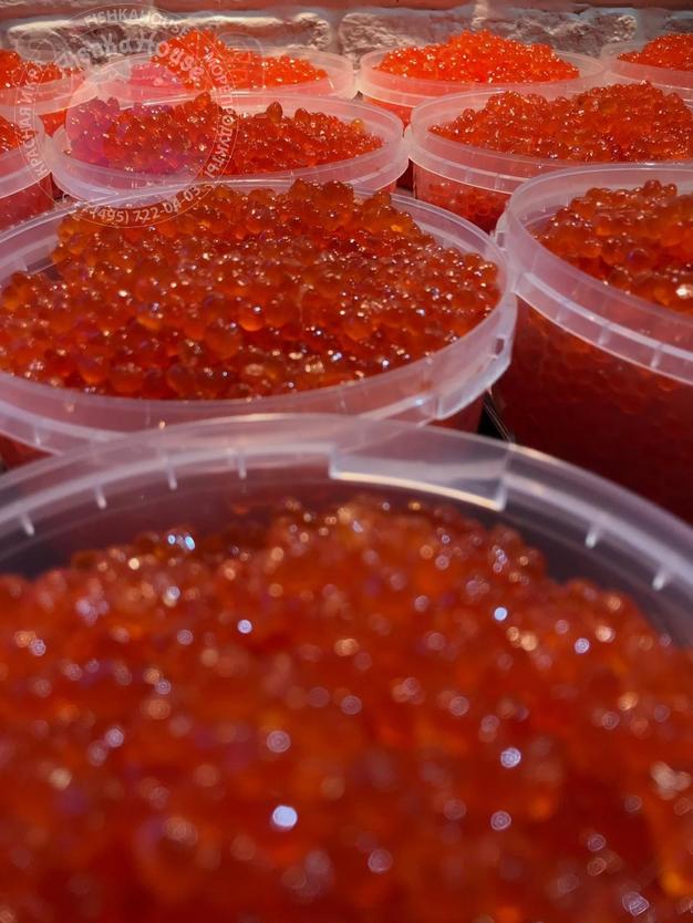 Доставка икры и морепродуктов. Москва