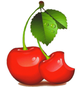 Ремонт цифровой техники - "Cherry-Service-Center"