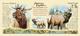 Кружка керамическая American Elk (American Expedition)