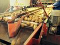 Продовольственный картофель оптом от 20 тн от производителя