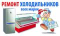 Ремонт холодильника щелковкая