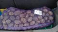 Продам картофель