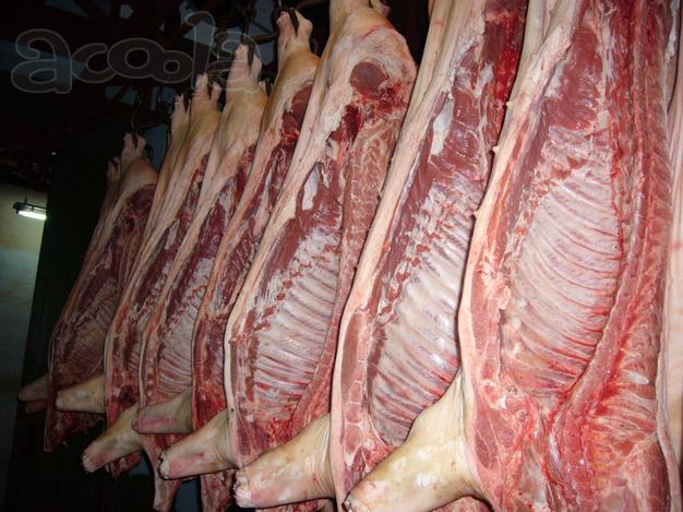 Продажа свиных и говяжьих полутуш