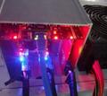 Nano Majner asic Giant N