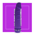 ФИОЛЕТОВЫЙ ВИБРАТОР SPARKLE SUCCUBI VIBRATING DONG - 14,5 СМ от Love Monster