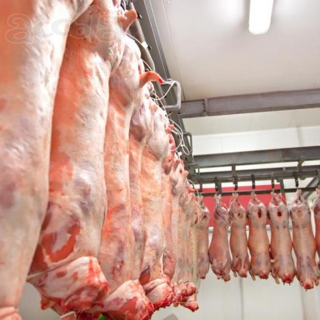 Производство и оптовые продажи мяса в ассортименте