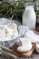 10Продажа молочной продукции