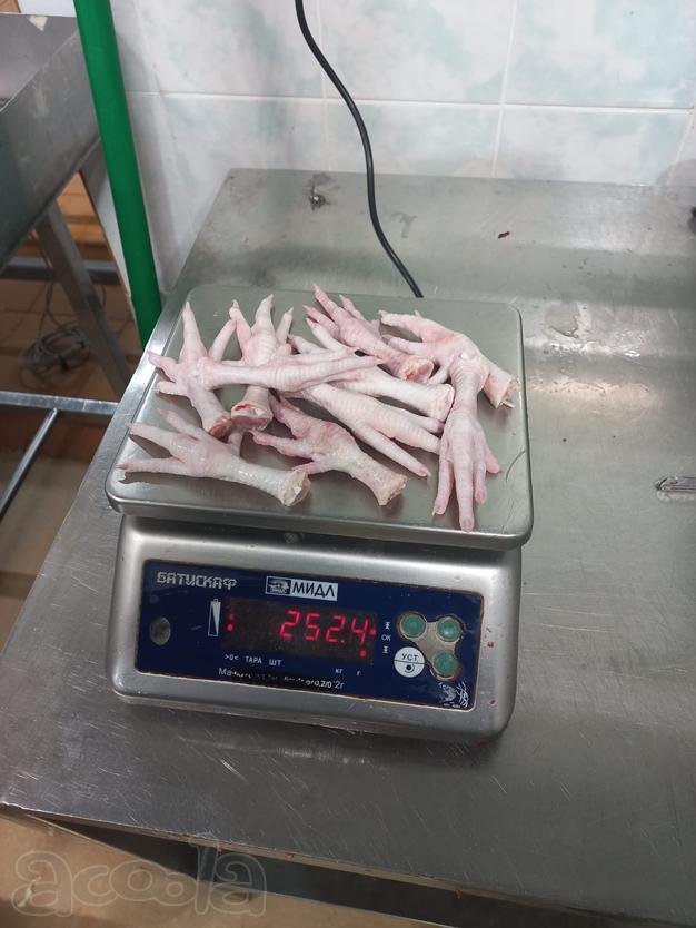 Куриные лапы на экспорт в Китай