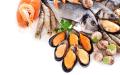 Морепродукты из Ирана оптом